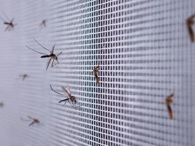 About Quarterly Pest Control Bountiful - quarterly pest control experts in Bountiful