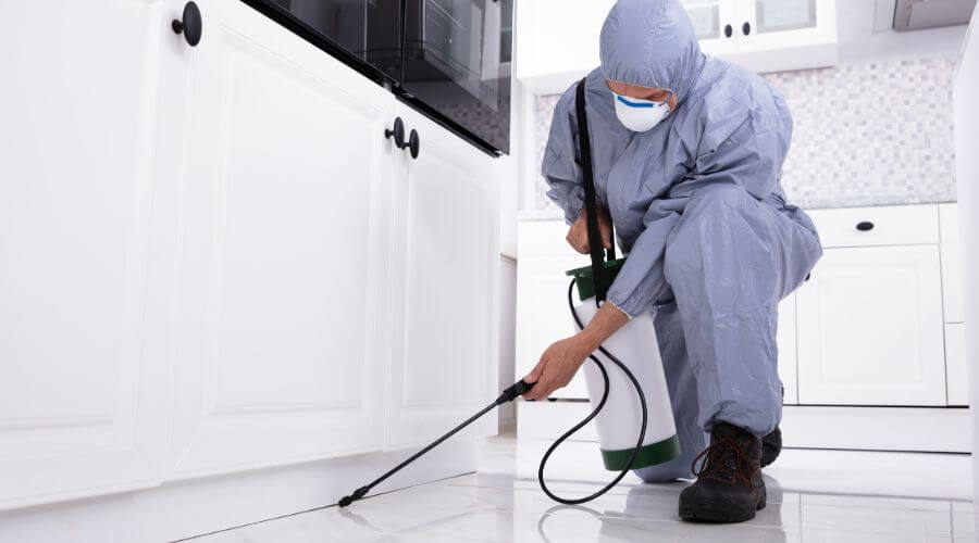Professional quarterly pest control services in Bountiful - Quarterly Pest Control Bountiful