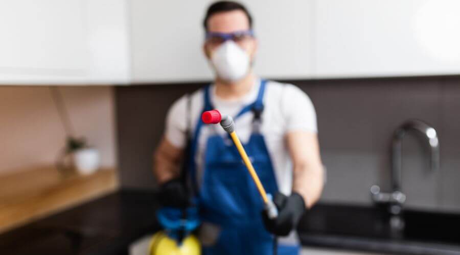 Why choose Quarterly Pest Control Bountiful for quarterly pest control in Bountiful